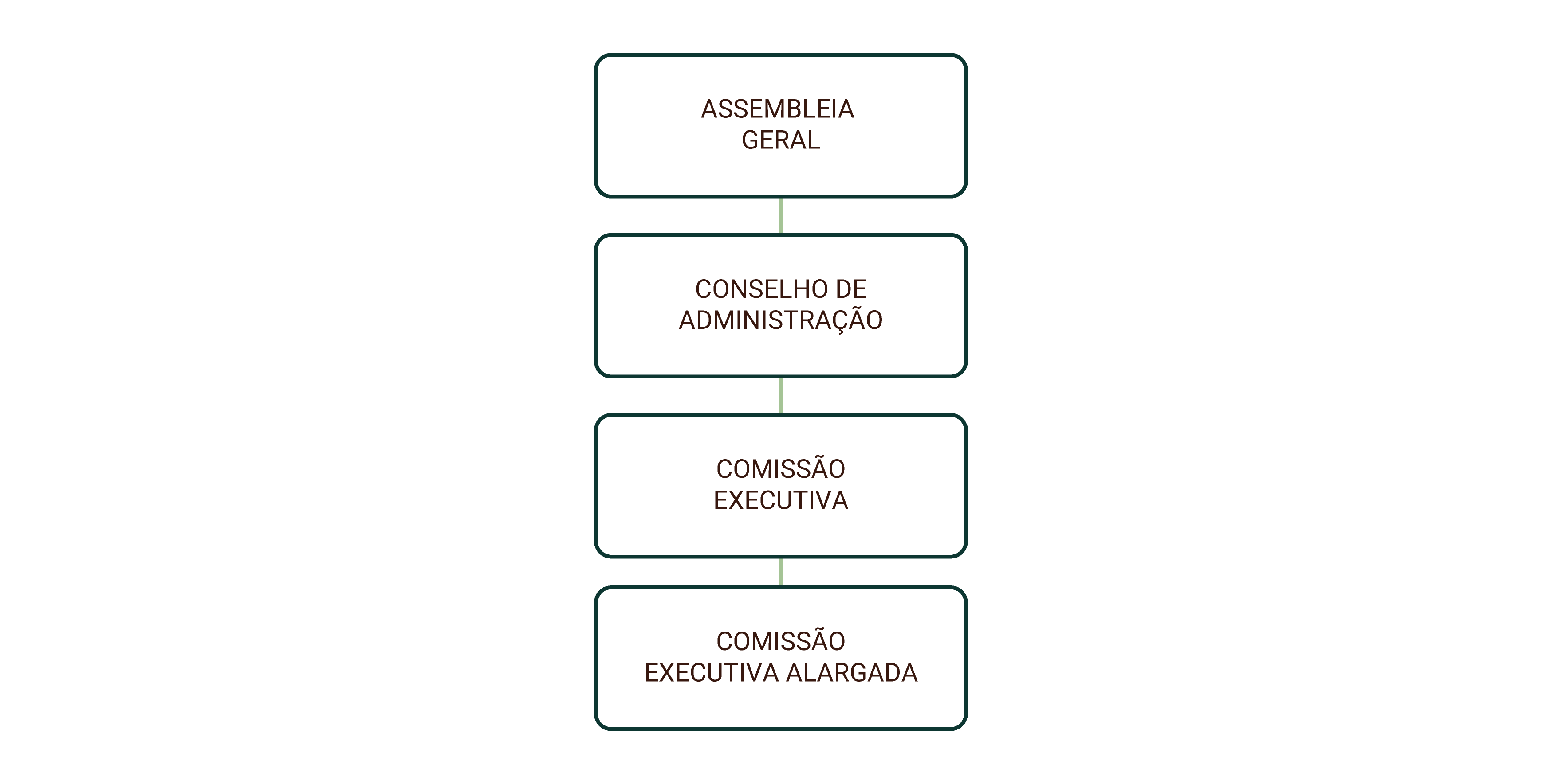 Conselho de Administração