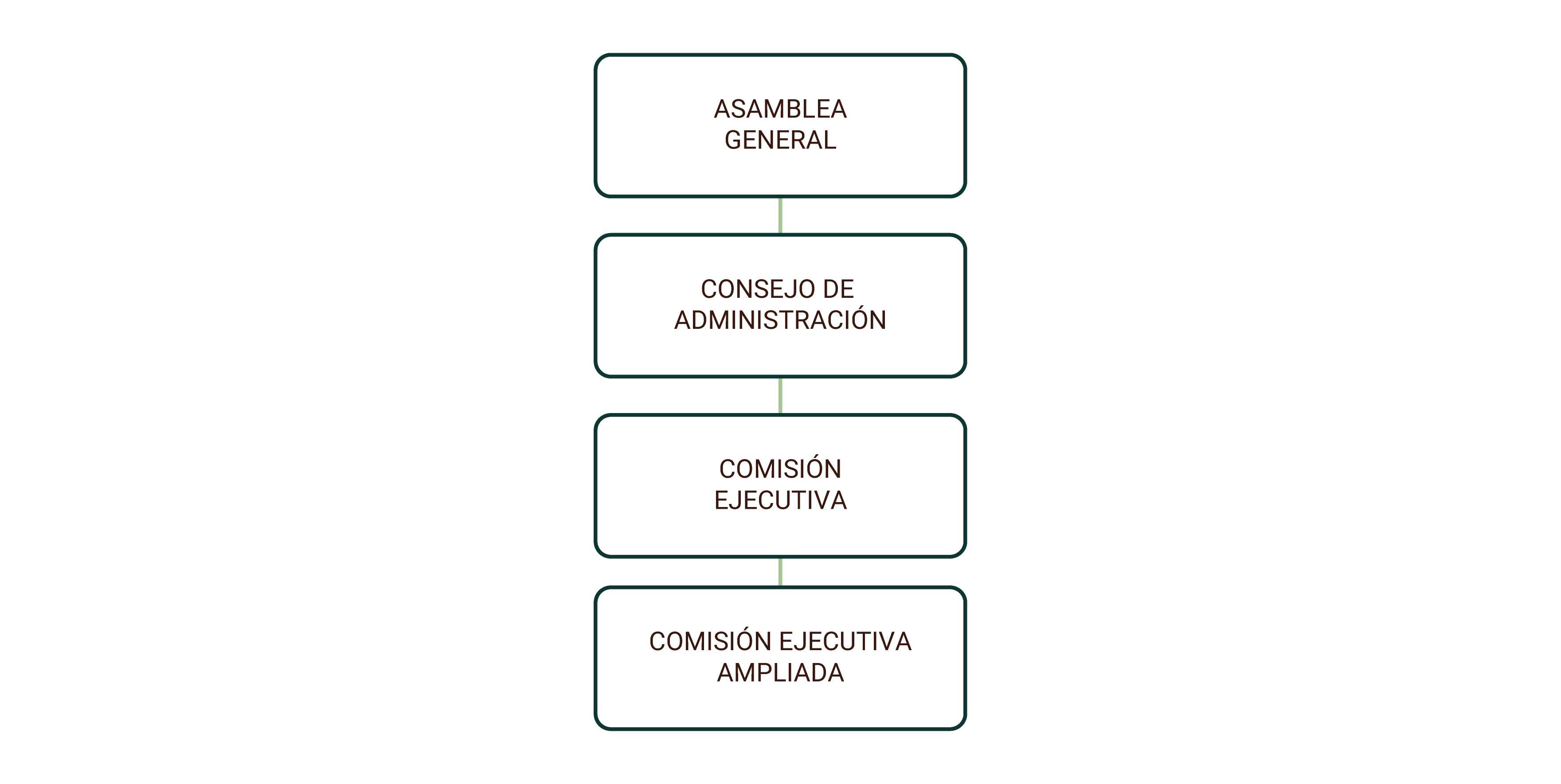 Consejo de Administración